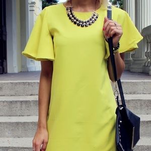 Bell sleeve shift dress